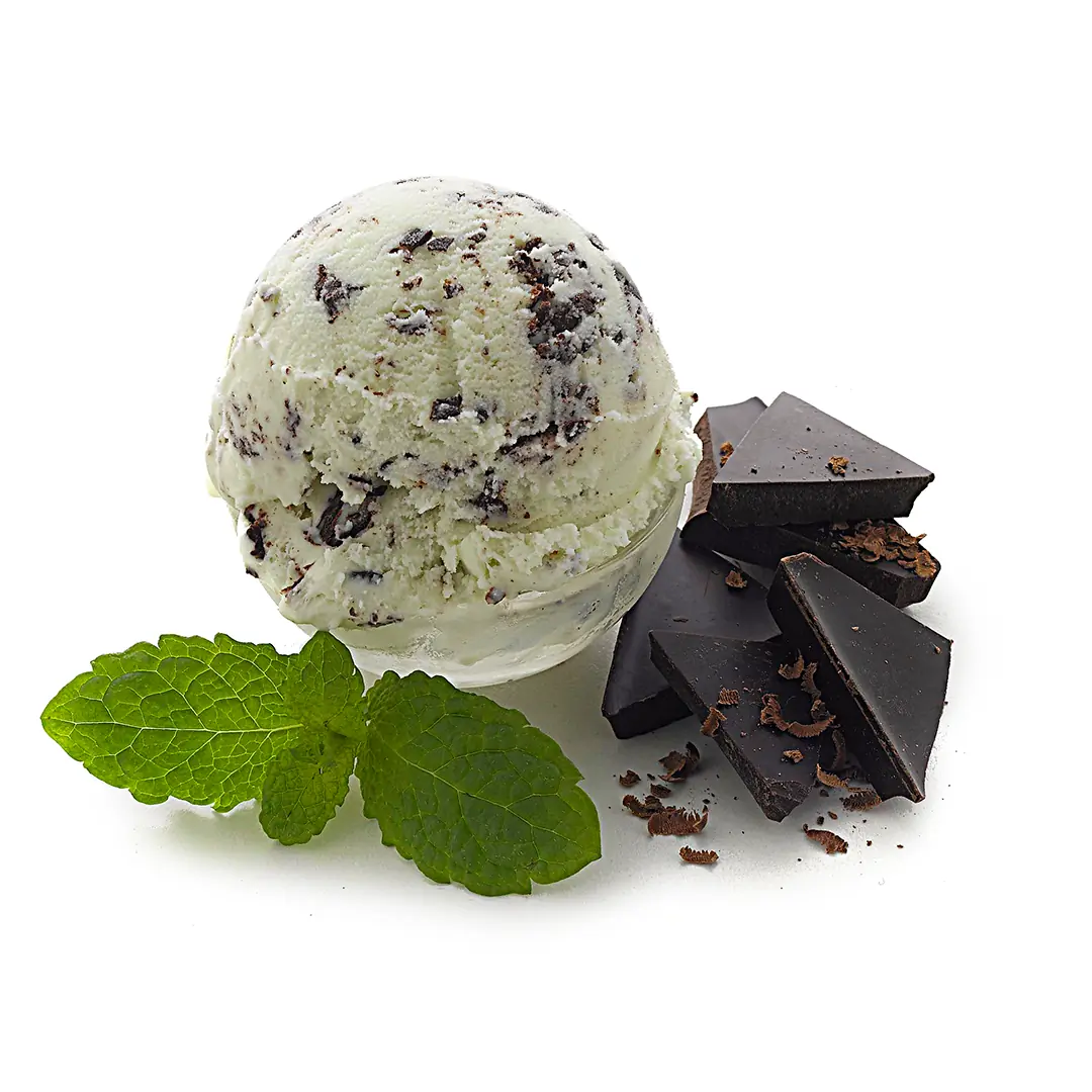 Mint Choc Chip Gelato